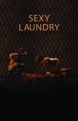 Sexy Laundry