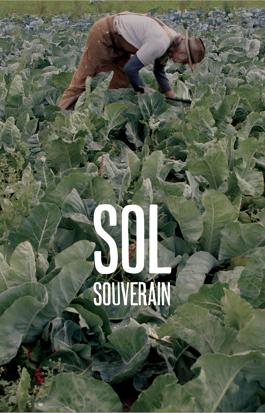 Sol souverain