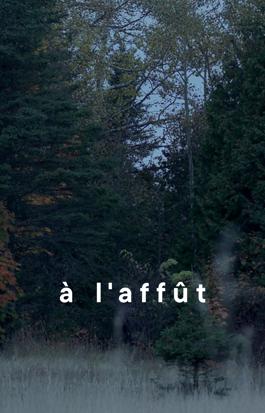 À l'affût