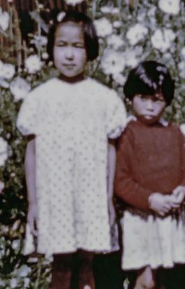 Of Japanese Descent