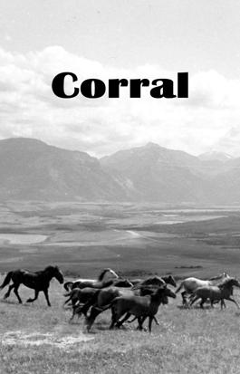 Corral