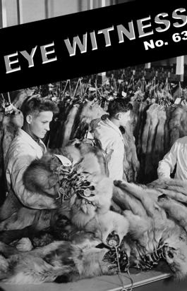 Eye Witness No. 63