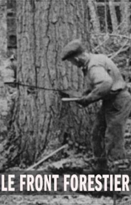 Le front forestier