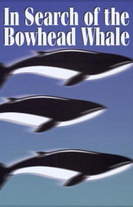 In Search of the Bowhead Whale