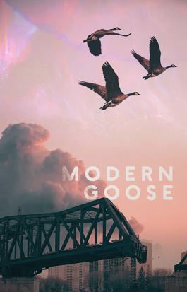 Modern Goose