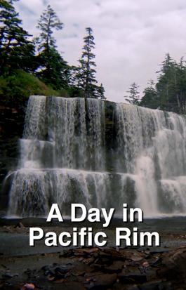 A Day in Pacific Rim