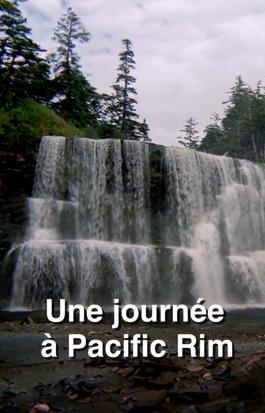 Une journée à Pacific Rim