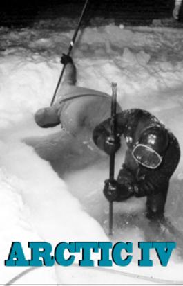 Arctic IV