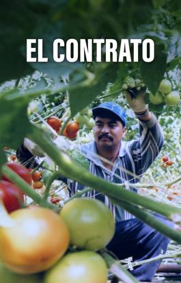El Contrato