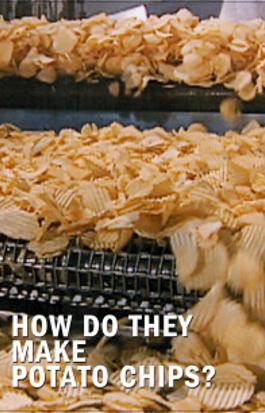 Make Potato Chips?