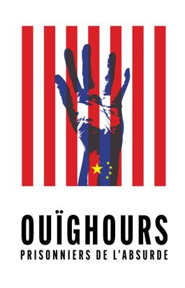 Ouïghours, prisonniers de l'absurde