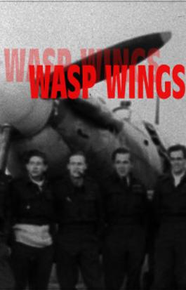 Wasp Wings