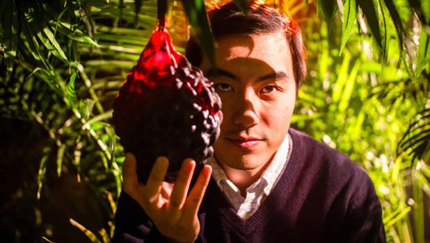 The Fruit Hunters
