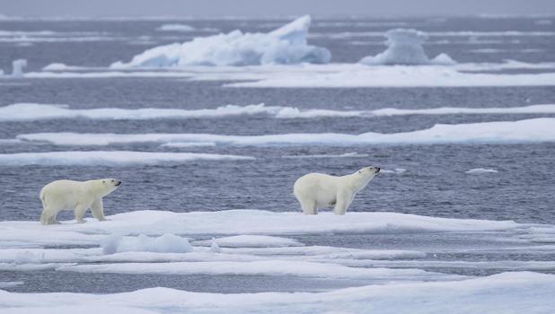 Menaces sur le toit du monde