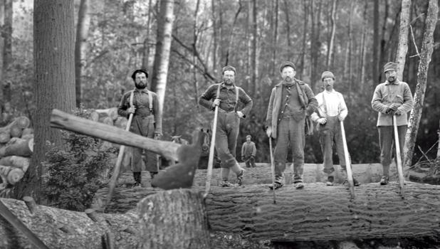 The Singing Lumberjack
