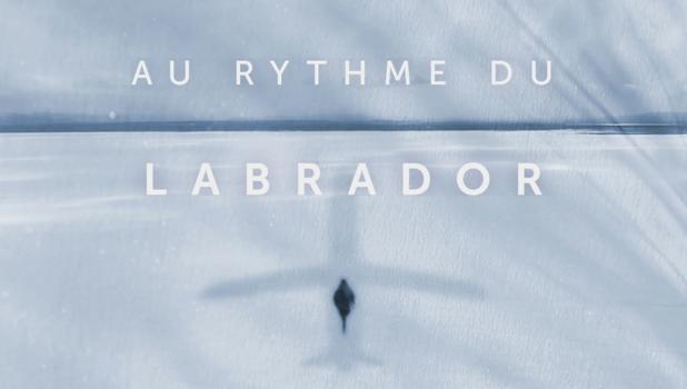 Au rythme du Labrador
