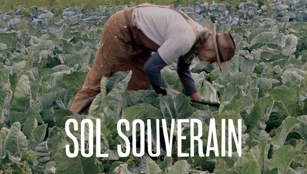 Sol souverain