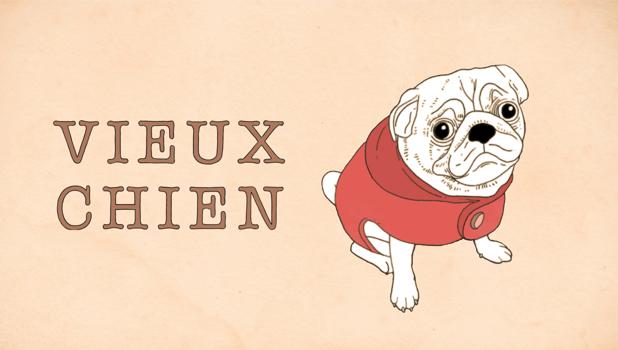 Vieux chien
