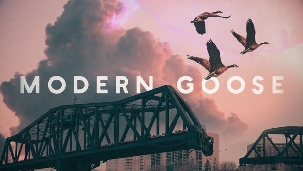 Modern Goose