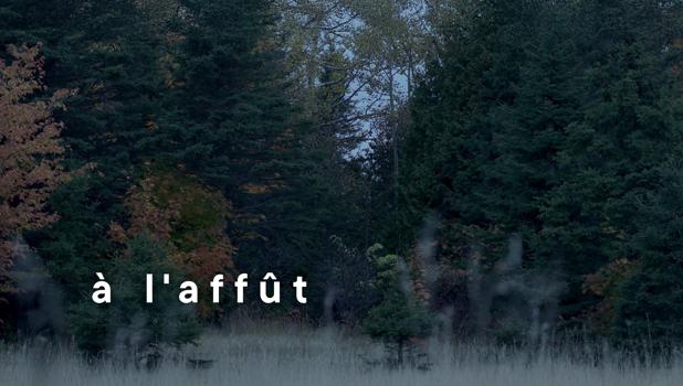 À l'affût