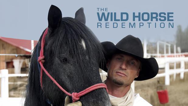 The Wild Horse Redemption