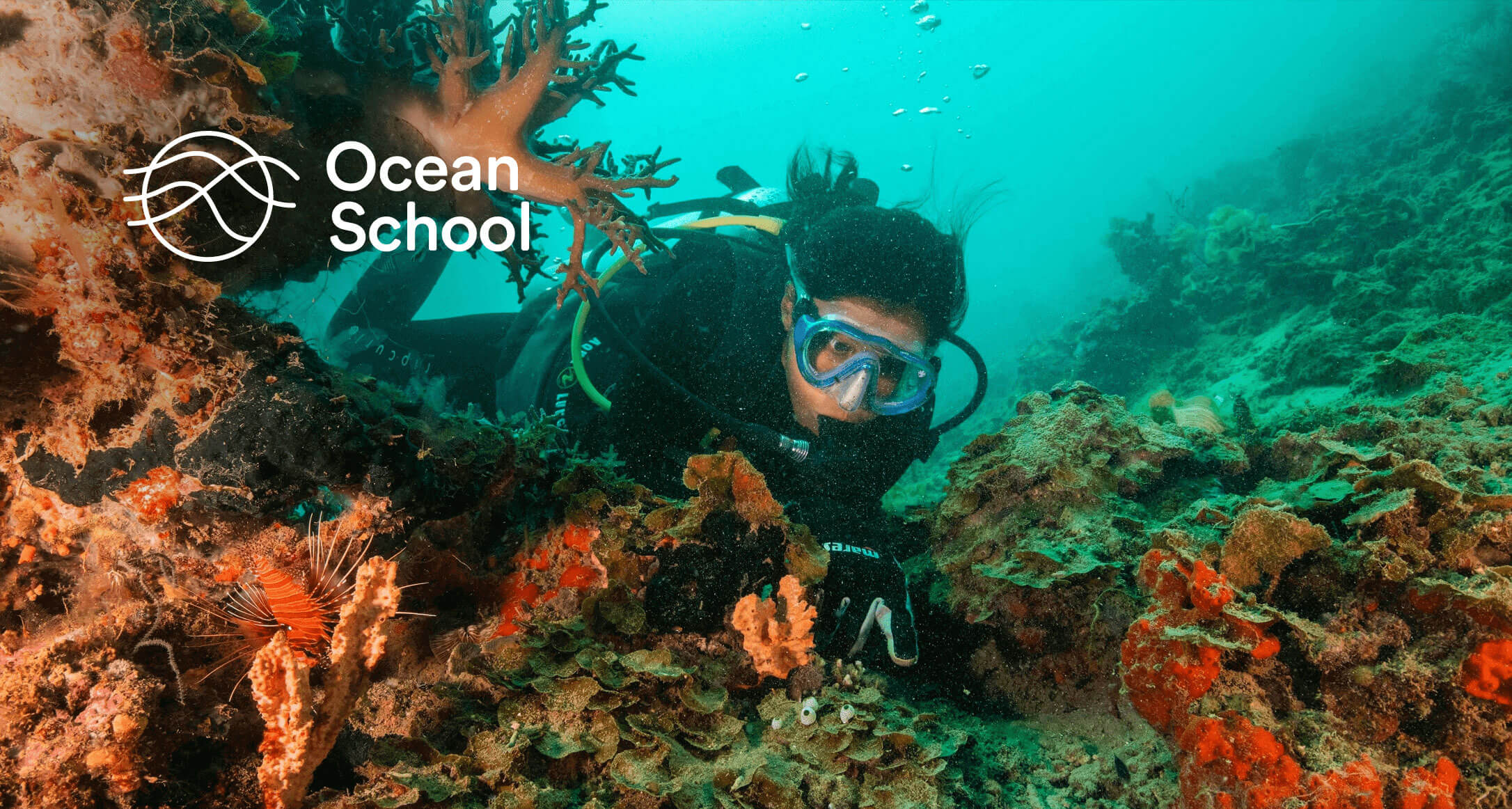 Ocean School