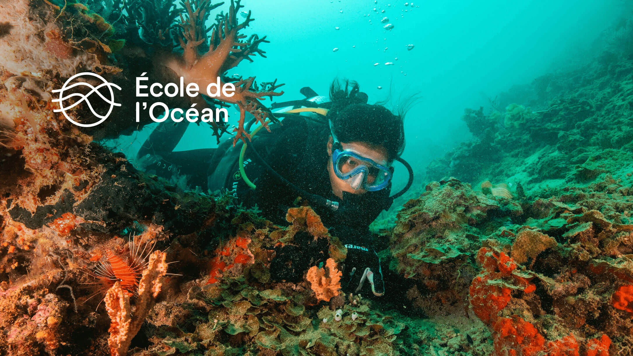 Ocean School